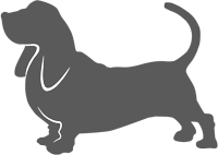 Bassett Productions Logo